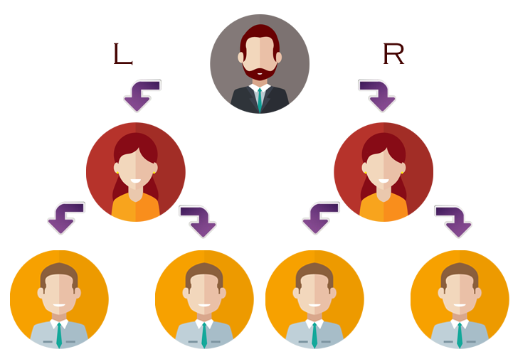 MLM Software